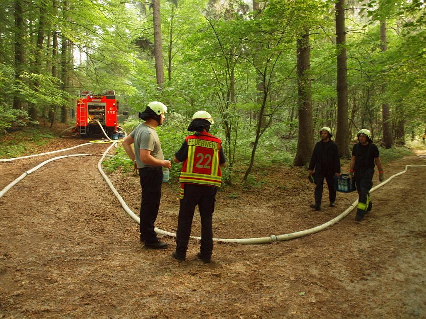 Waldbrand Bergisch Gladbach Bensberg P036.JPG